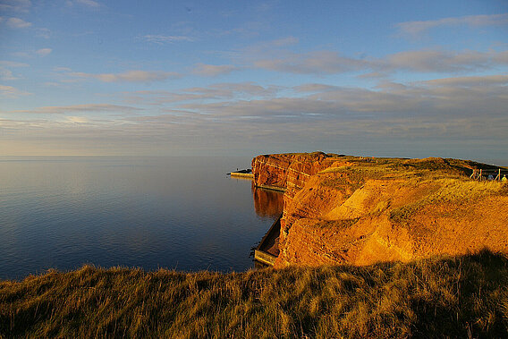 Foto des Oberlandes von Helgoland. Im Vordergrund Gras, im Hintergrund die Felsen 